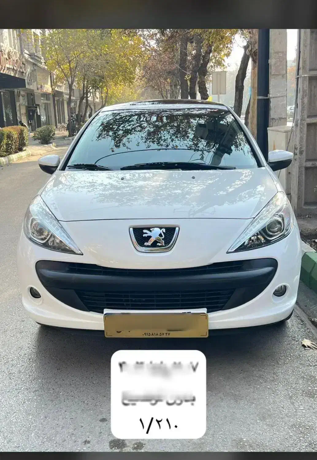 207پانا ۱۴۰۳با رینگ|خودرو سواری و وانت|مشهد, امام رضا (ع)|دیوار