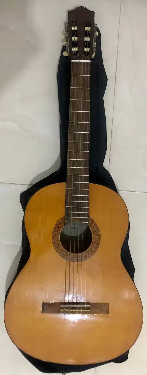 گیتار یاماها C-40|گیتار، بیس، امپلیفایر|پرند, فاز ۳|دیوار