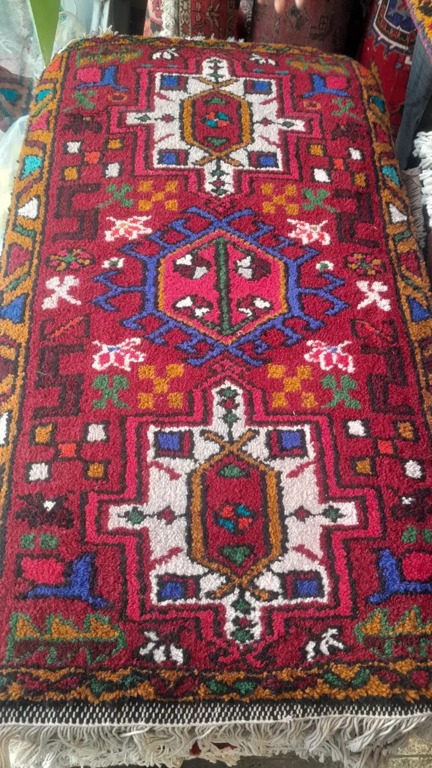 پادری های هریس یک در ۵۰|پادری|میانه, |دیوار