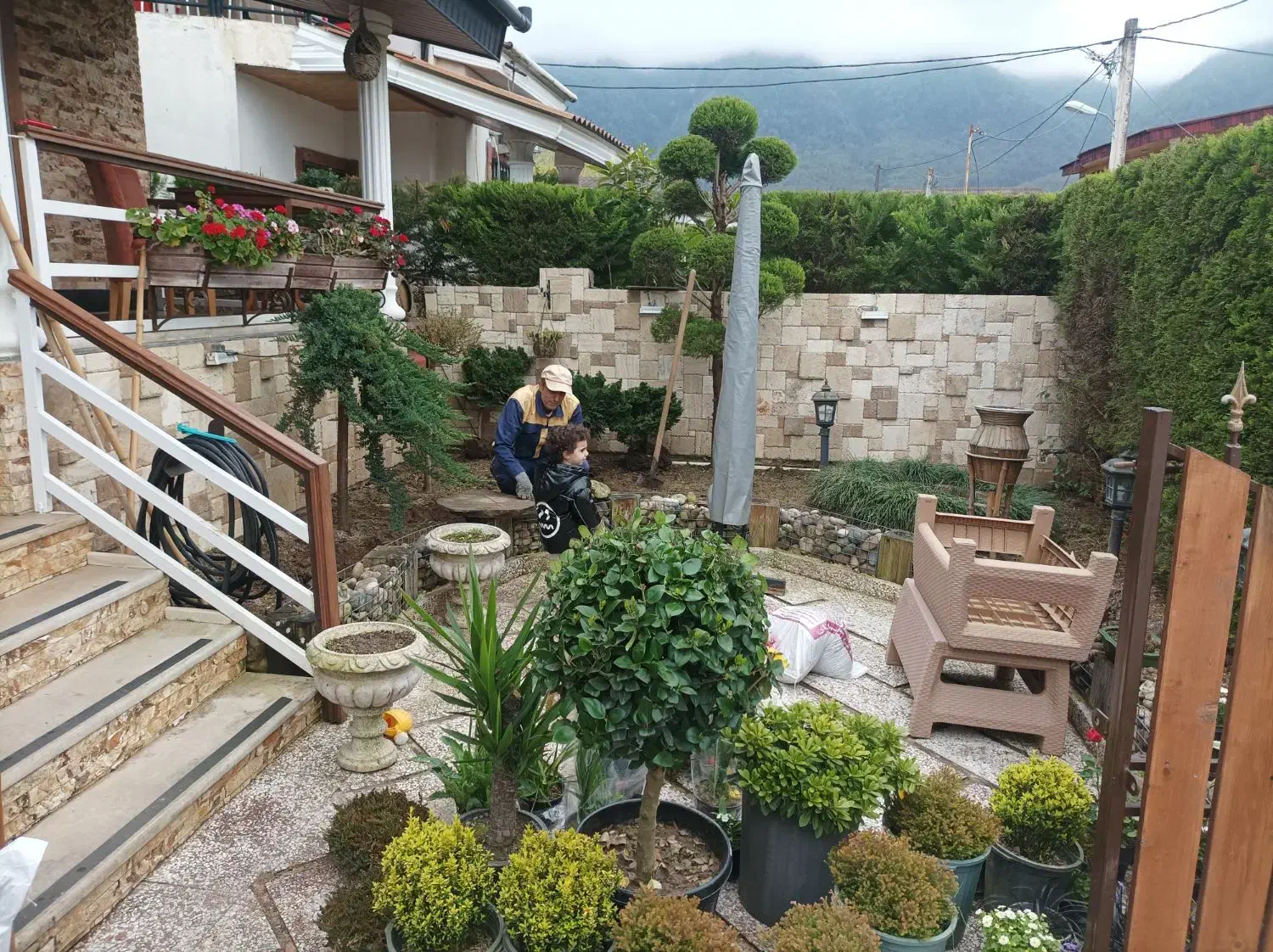 گلکاری و هرس و سمپاشی|خدمات باغبانی و درختکاری|نوشهر, |دیوار