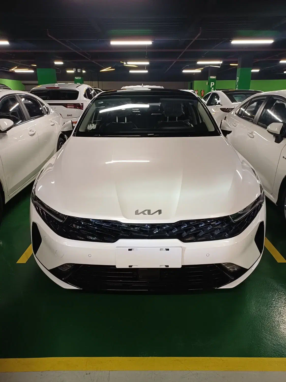 KIA K5 2024 2025 / نقد و اقساط|خودرو سواری و وانت|تهران, هروی|دیوار