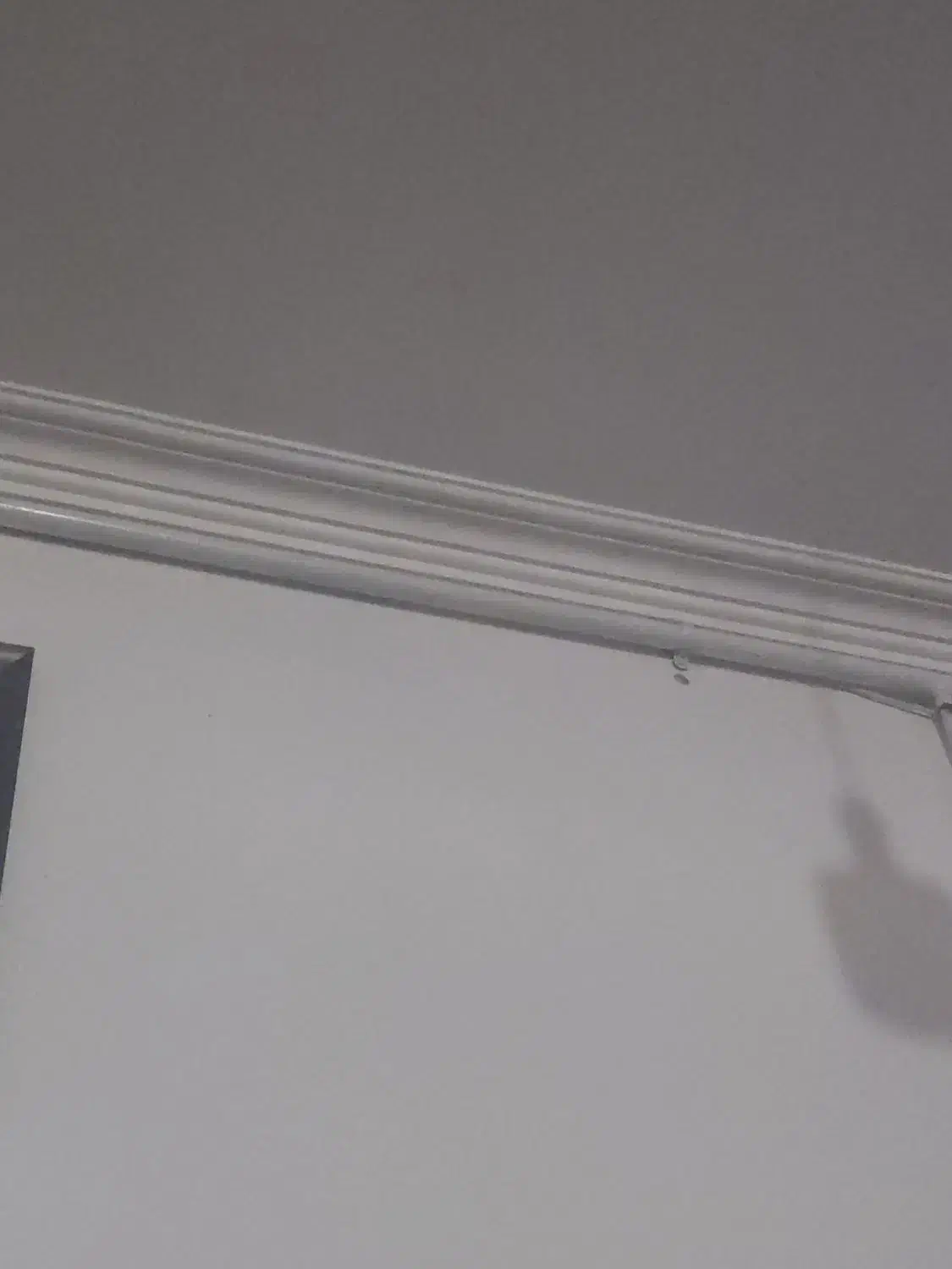 گچ کاری و خاک گچ .لکه گیری.سربیشه|خدمات پیشه و مهارت|سربیشه, |دیوار