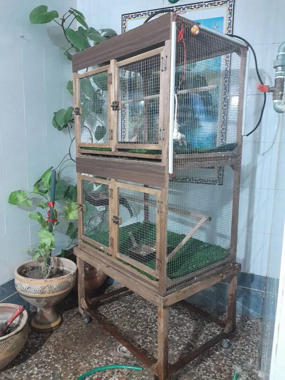 فقس پرنده|لوازم جانبی حیوانات|شیراز, حجت آباد|دیوار