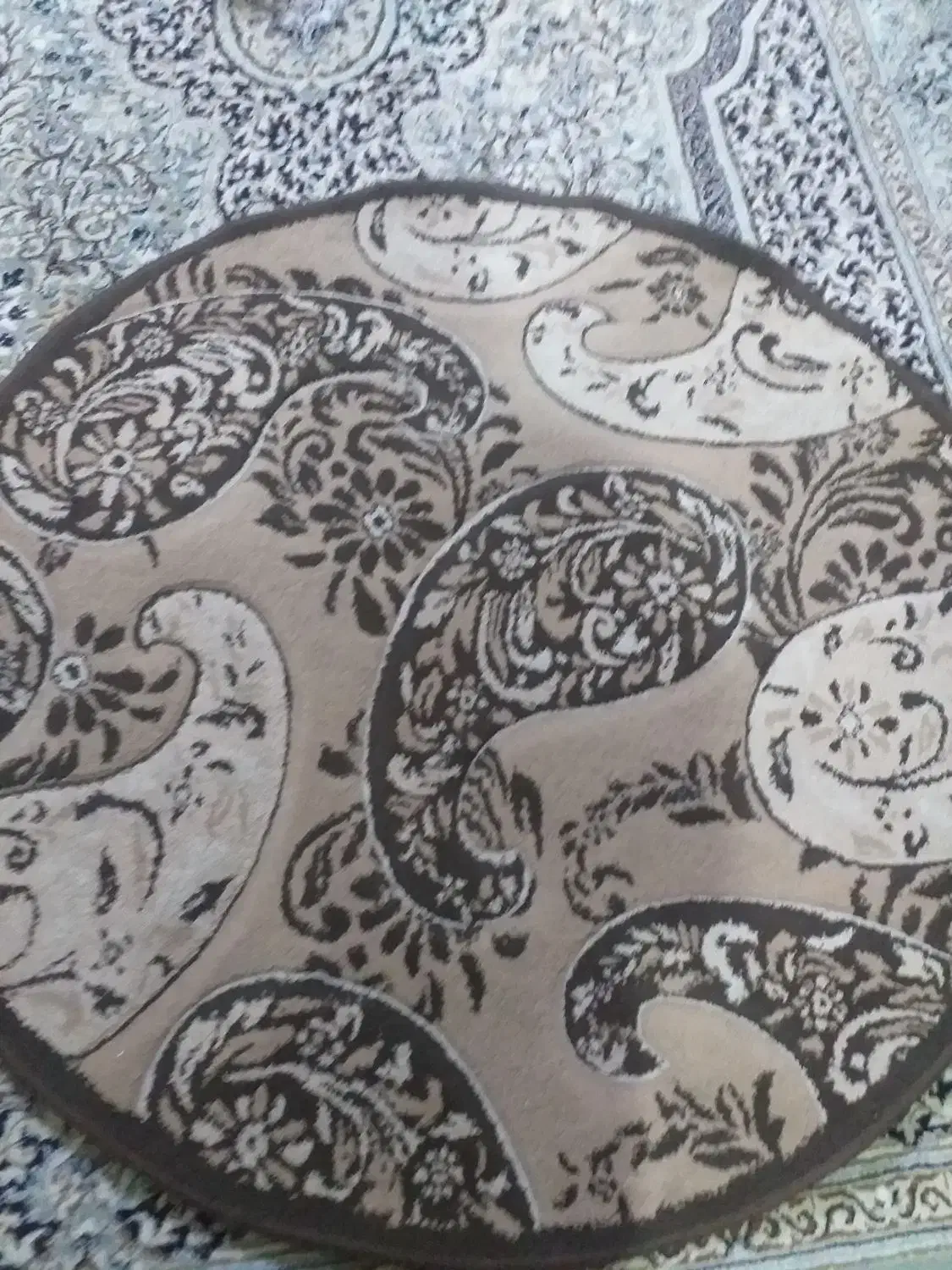 پادری گرد|پادری|بندرعباس, |دیوار