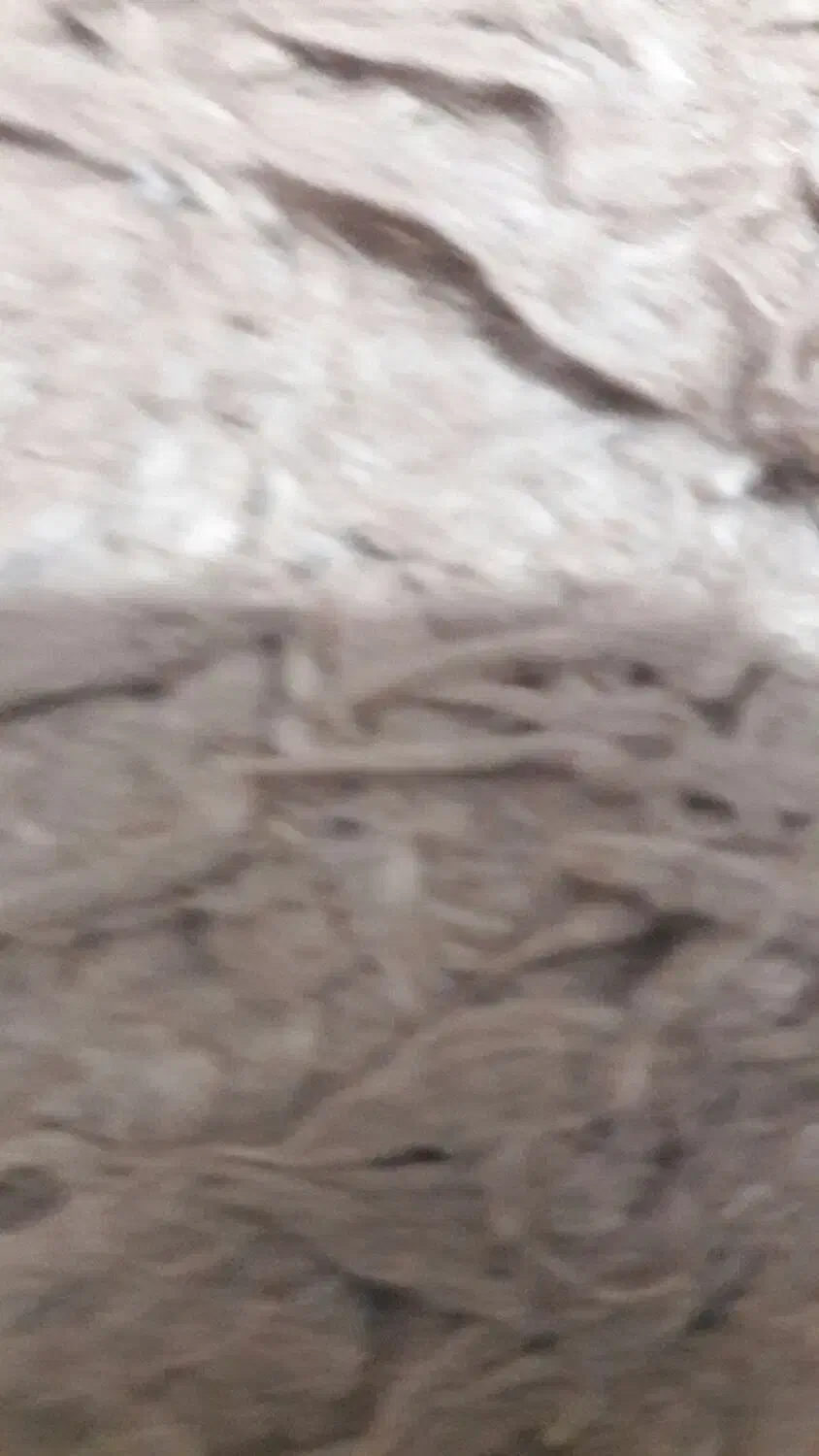 فرش وگلیم|فرش|رشت, رودباری|دیوار