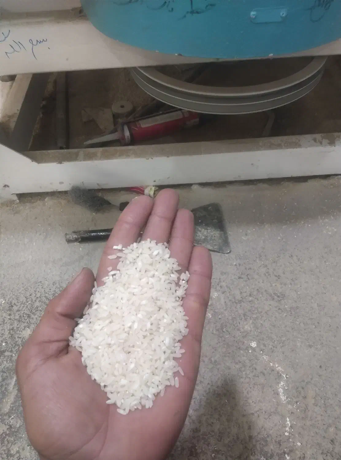 پخش برنج محلی|حراج|اقلید, |دیوار