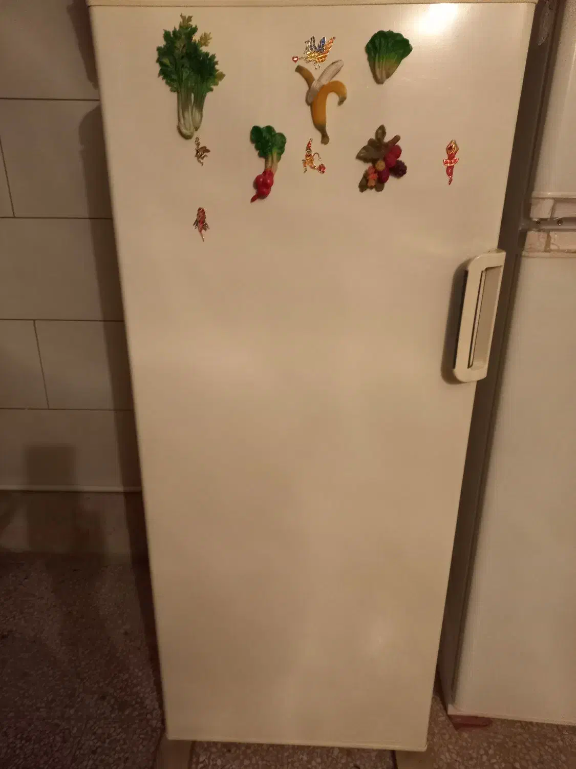 فریزر خانگی|یخچال و فریزر|بروجن, |دیوار