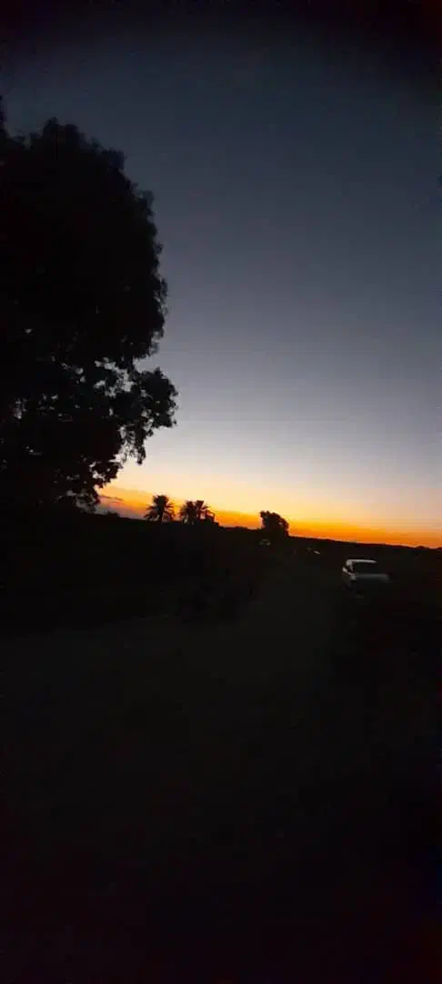 زمین فروشی|فروش زمین و ملک کلنگی|بم, |دیوار