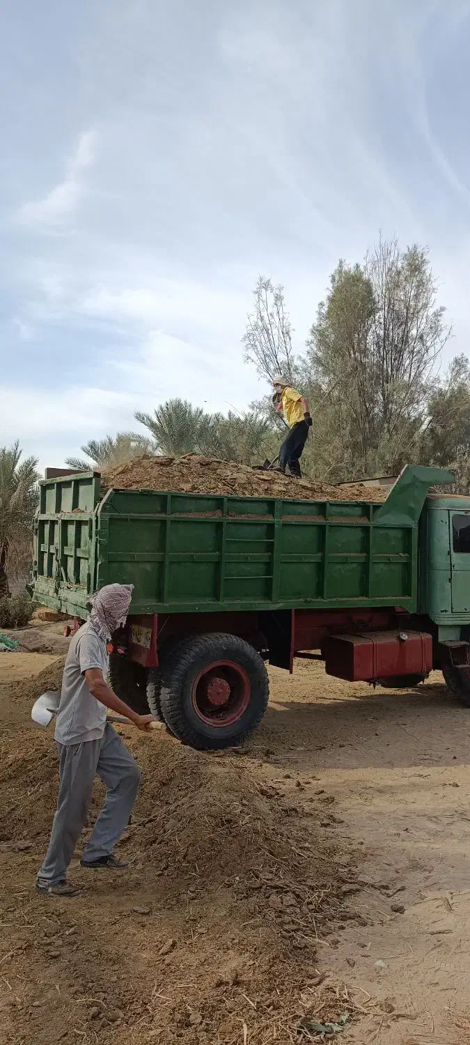 فروش و جابهجایی کود حیوانی گاوی بنز ده تن و نیسان|خدمات باغبانی و درختکاری|بم, |دیوار