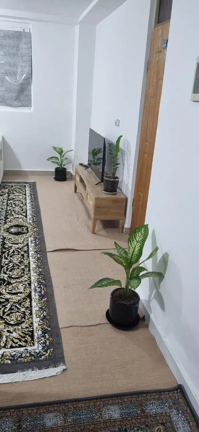 منزل مبله|اجارهٔ کوتاهمدت آپارتمان و سوئیت|بندرلنگه, |دیوار