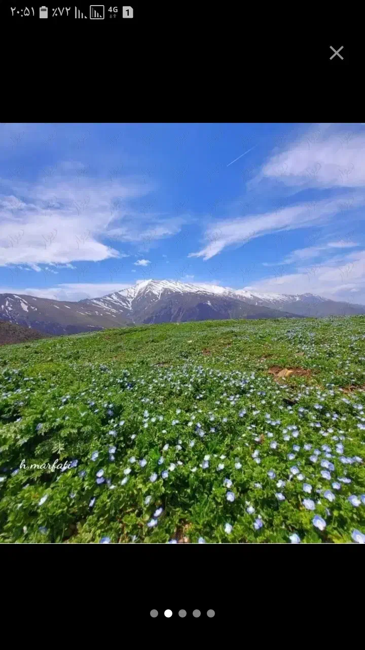 راهنمایی‌میخواستم|فعالیت داوطلبانه تحقیقاتی|اصفهان, نقش جهان|دیوار