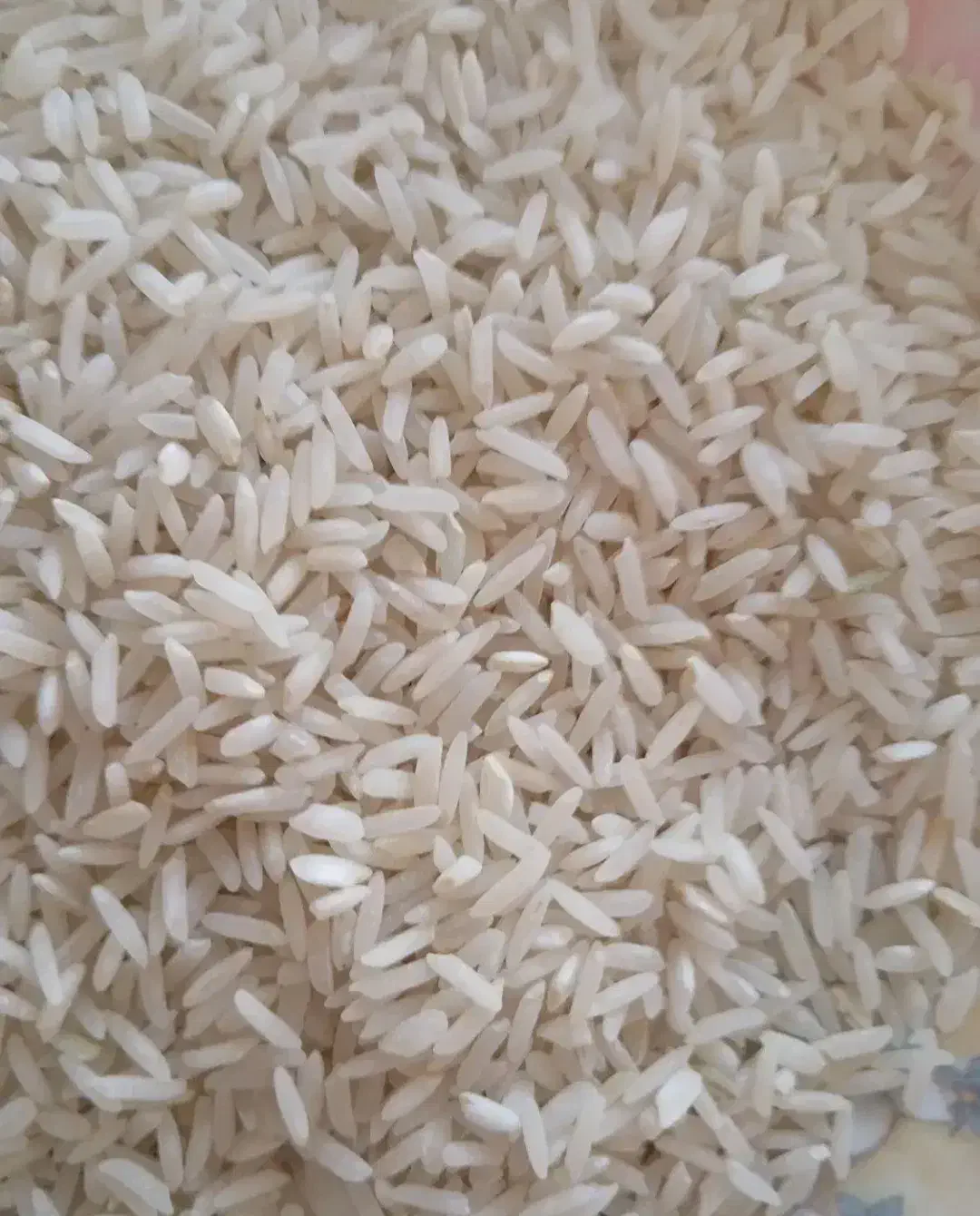 برنج فجر نورآباد ممسنی|خوردنی و آشامیدنی|صدرا-فارس, فاز ۱|دیوار