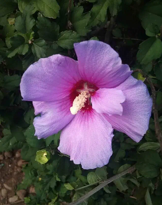 وام|فعالیت داوطلبانه|یاسوج, |دیوار