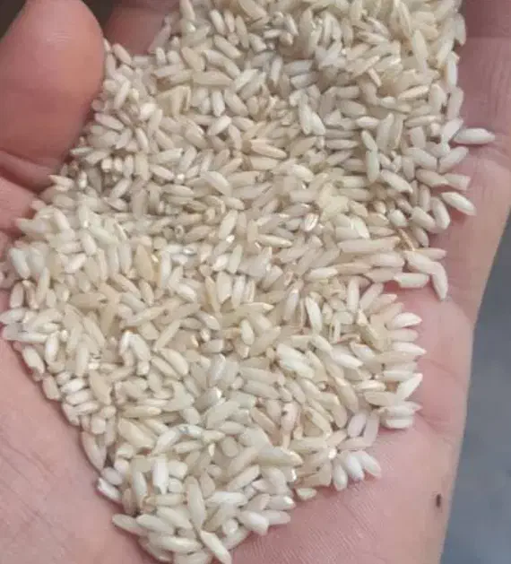 برنح عنبر بو|خوردنی و آشامیدنی|کرخه, |دیوار