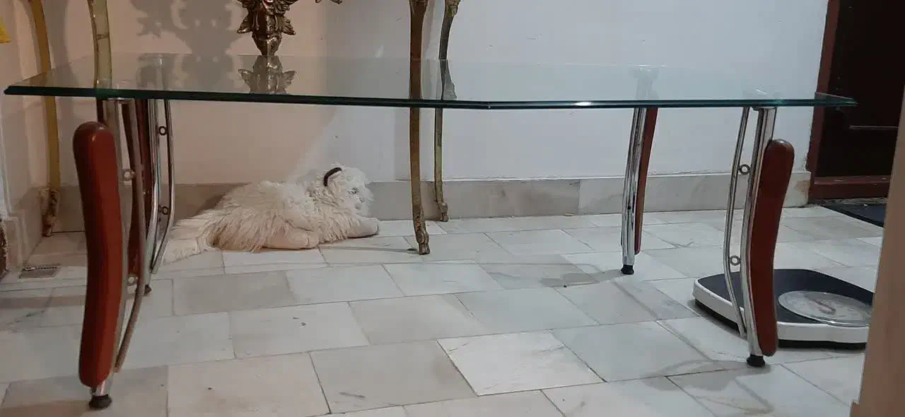 میز جلو مبلی بزرگ|مبلمان خانگی و میز عسلی|ارومیه, |دیوار