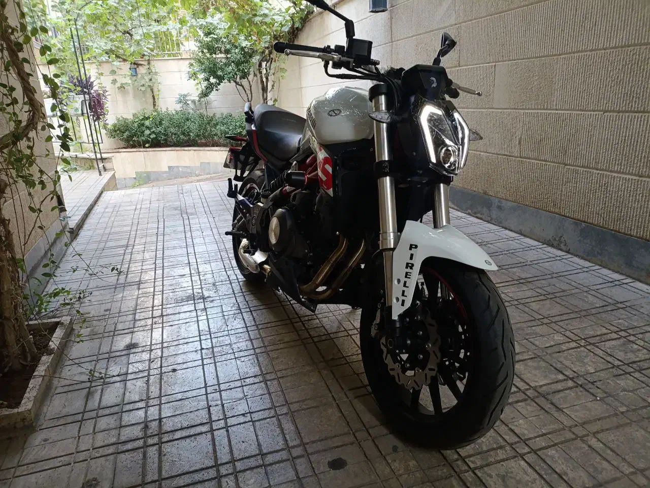 بنلی ۲۵۰ جفت بنلی ۳۰۰|موتورسیکلت|قم, ارم|دیوار