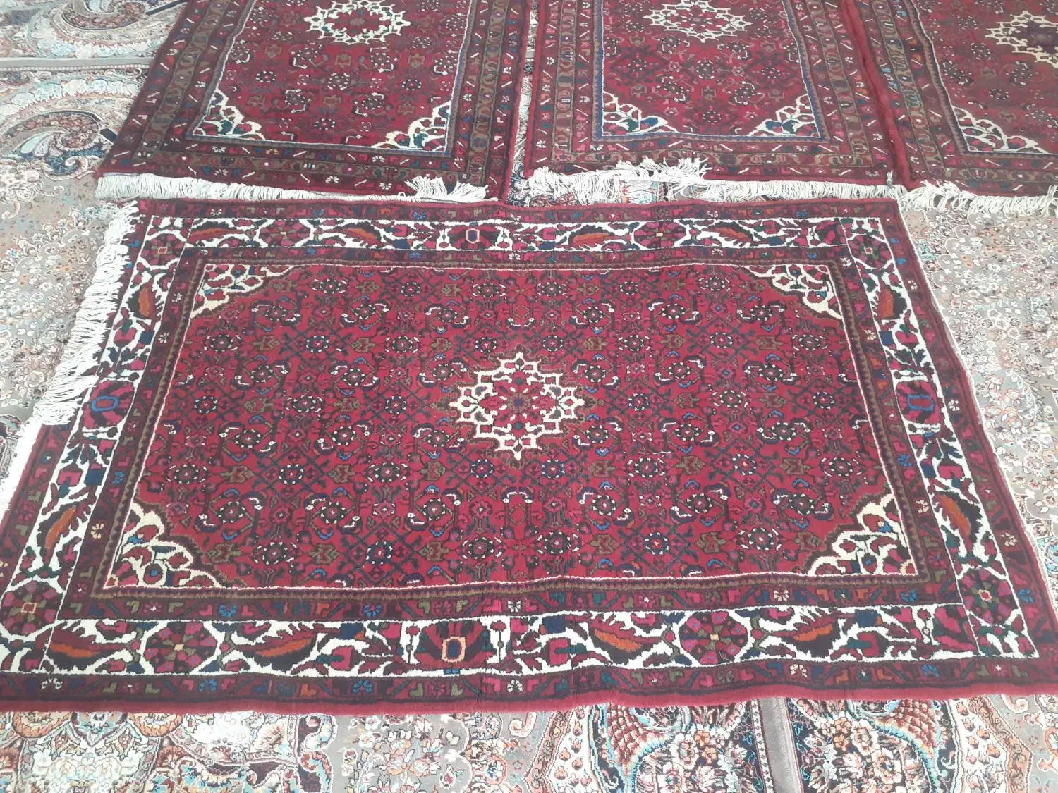 قالی دست بافت|فرش|شراء, |دیوار