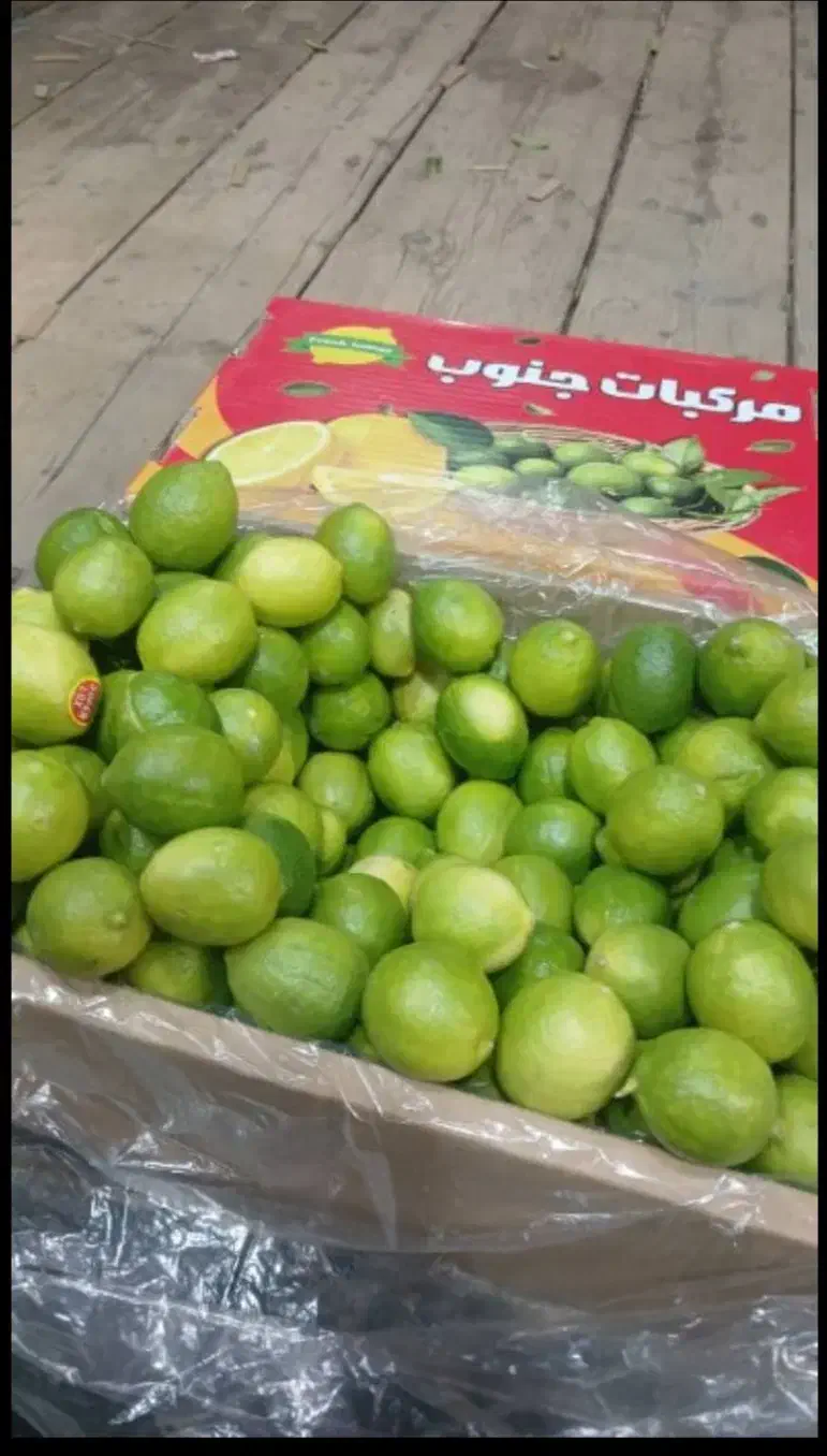 آبلیمو طبیعی کیفیت اصیل|خوردنی و آشامیدنی|تهران, میدان میوه و ترهبار مرکزی|دیوار