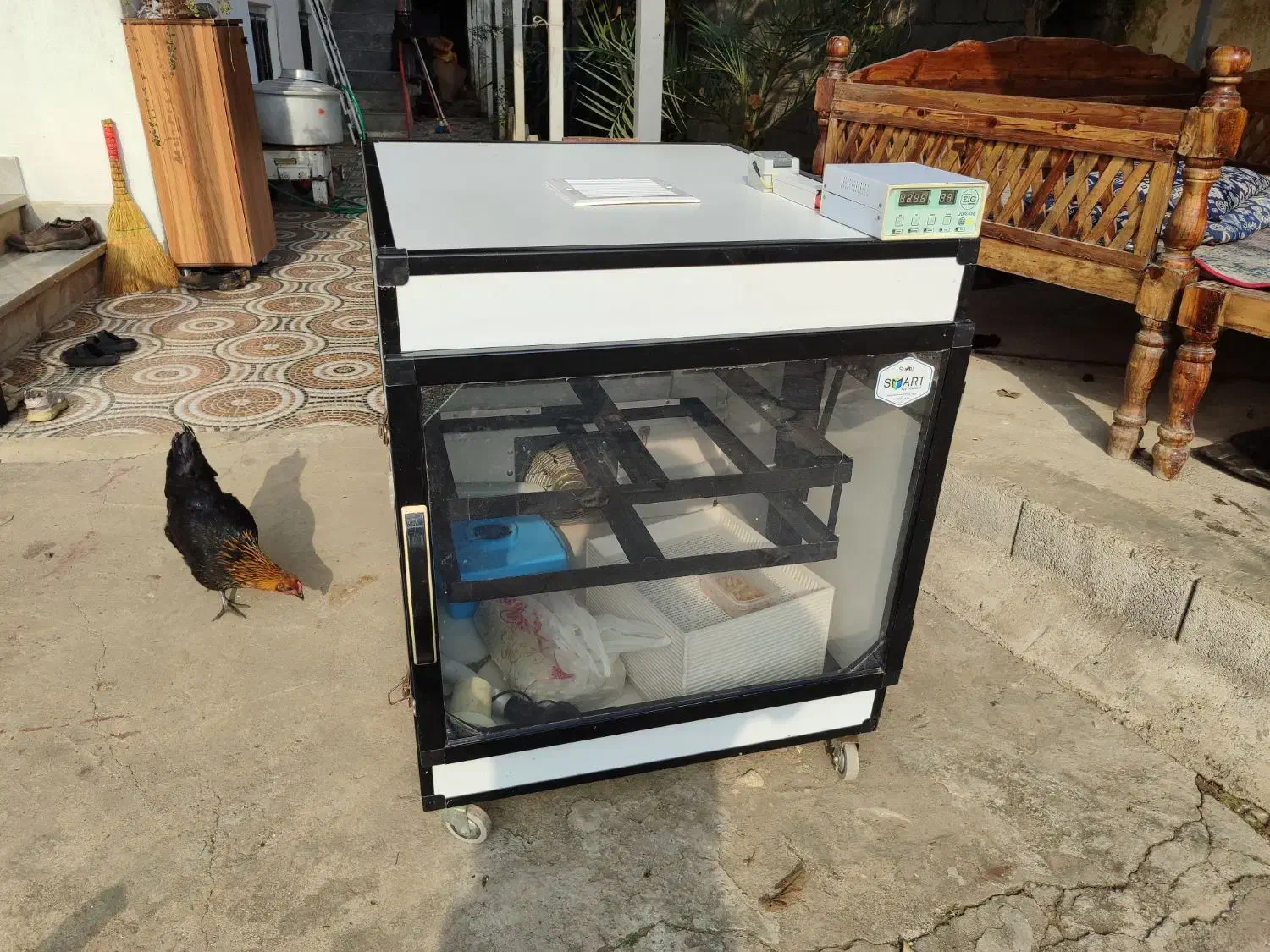 دستگاه جوجه کشی ۵۰۴ تایی اسکندری|لوازم جانبی حیوانات|تالش, طولارود|دیوار