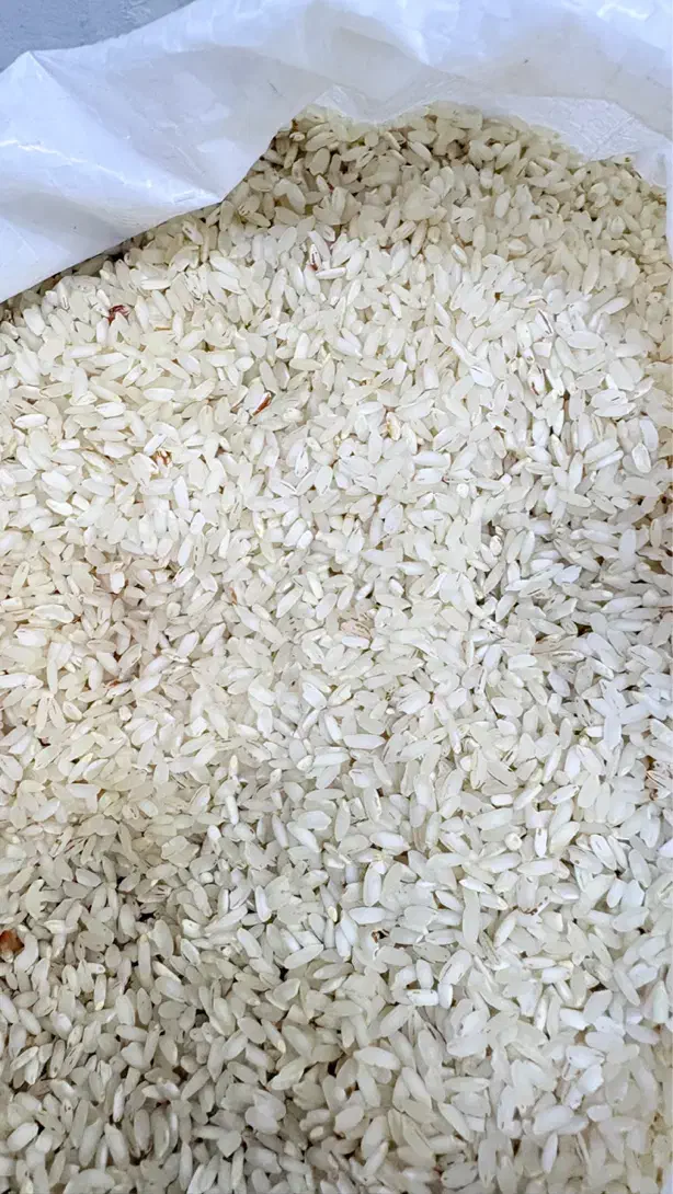 برنج عنبربو درجه یک عطری، خوشپخت، قیمت عمده وخرده|خوردنی و آشامیدنی|شوشتر, |دیوار