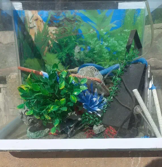 اکواریوم با تجهیزات|ماهی|عجب شیر, |دیوار