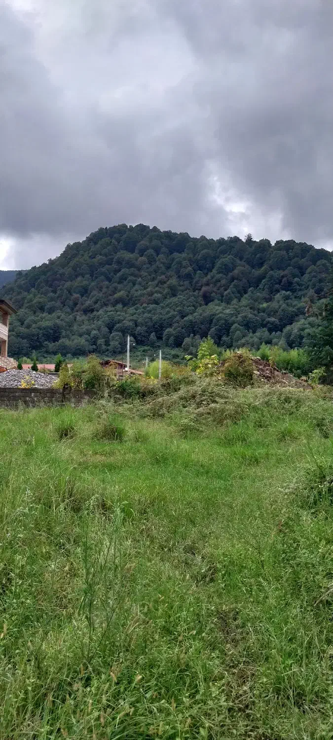 ویلا ۳۳۰ متر جنگلی ویو ابدی|فروش خانه و ویلا|نشتارود, |دیوار