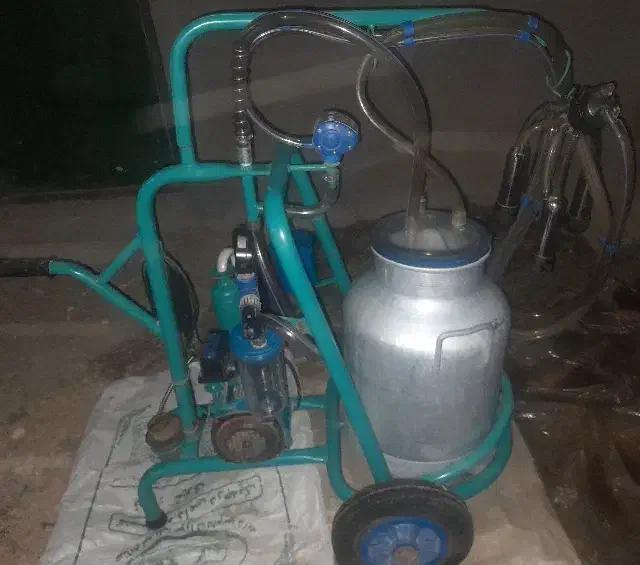 شیردوش در حد نو|لوازم جانبی حیوانات|سلطانیه, |دیوار