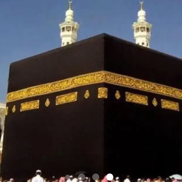 چند عدد فیش تمتع اماده اعزام|تور و چارتر|بوشهر, |دیوار