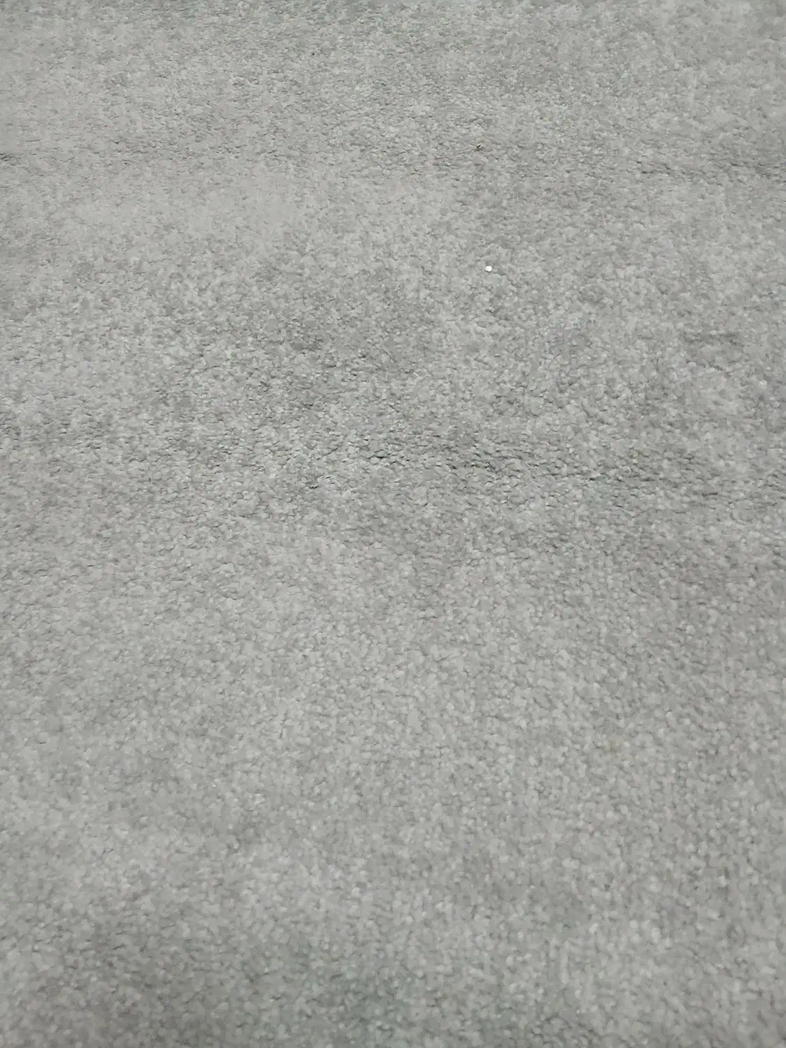 پالاز موکت ۱۶/۵ و ۱۳ متر مربع|موکت|اردبیل, |دیوار