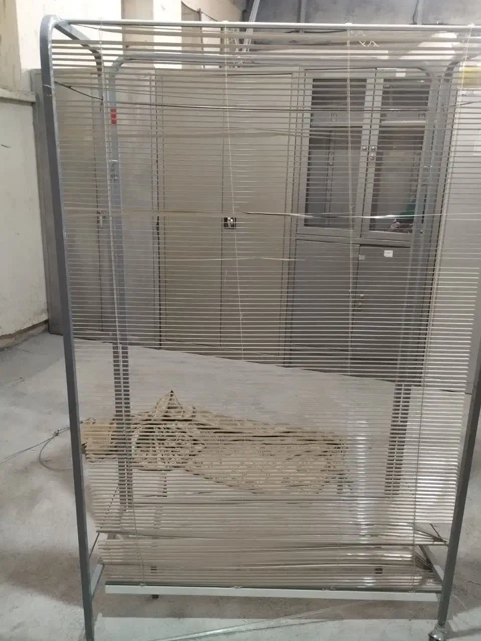 پرده کرکره ای|پرده، رانر، رومیزی|بیرجند, |دیوار