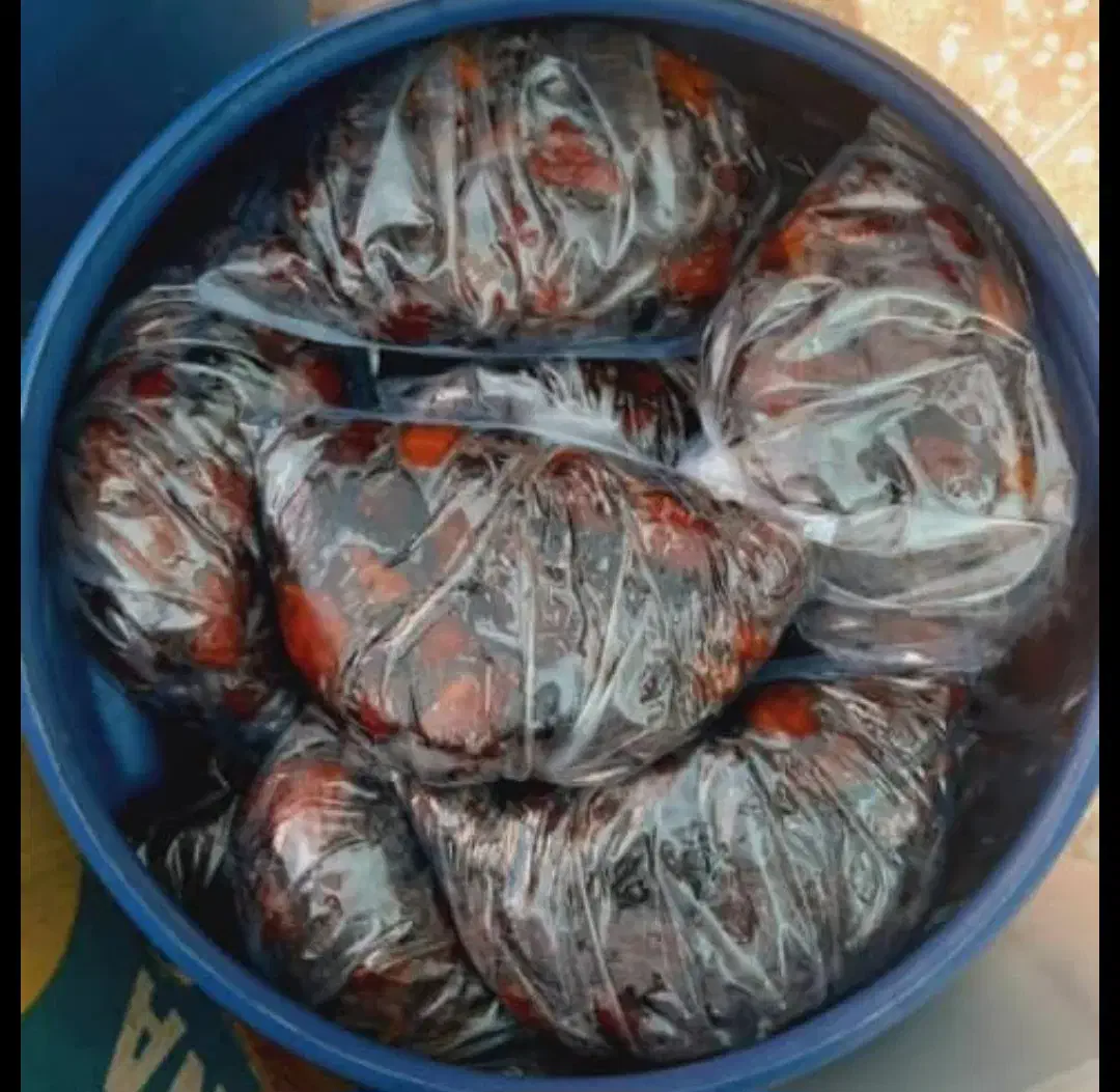 خرما|خوردنی و آشامیدنی|شیراز, قدوسی شرقی|دیوار