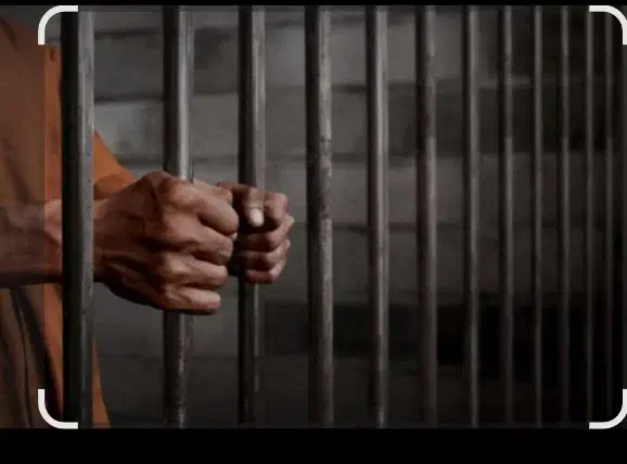 راهنمای|فعالیت داوطلبانه|تهران, زعفرانیه|دیوار