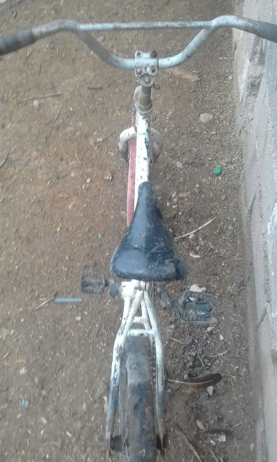 دوچرخه سفید20|دوچرخه، اسکیت، اسکوتر|تربت جام, میان جام|دیوار