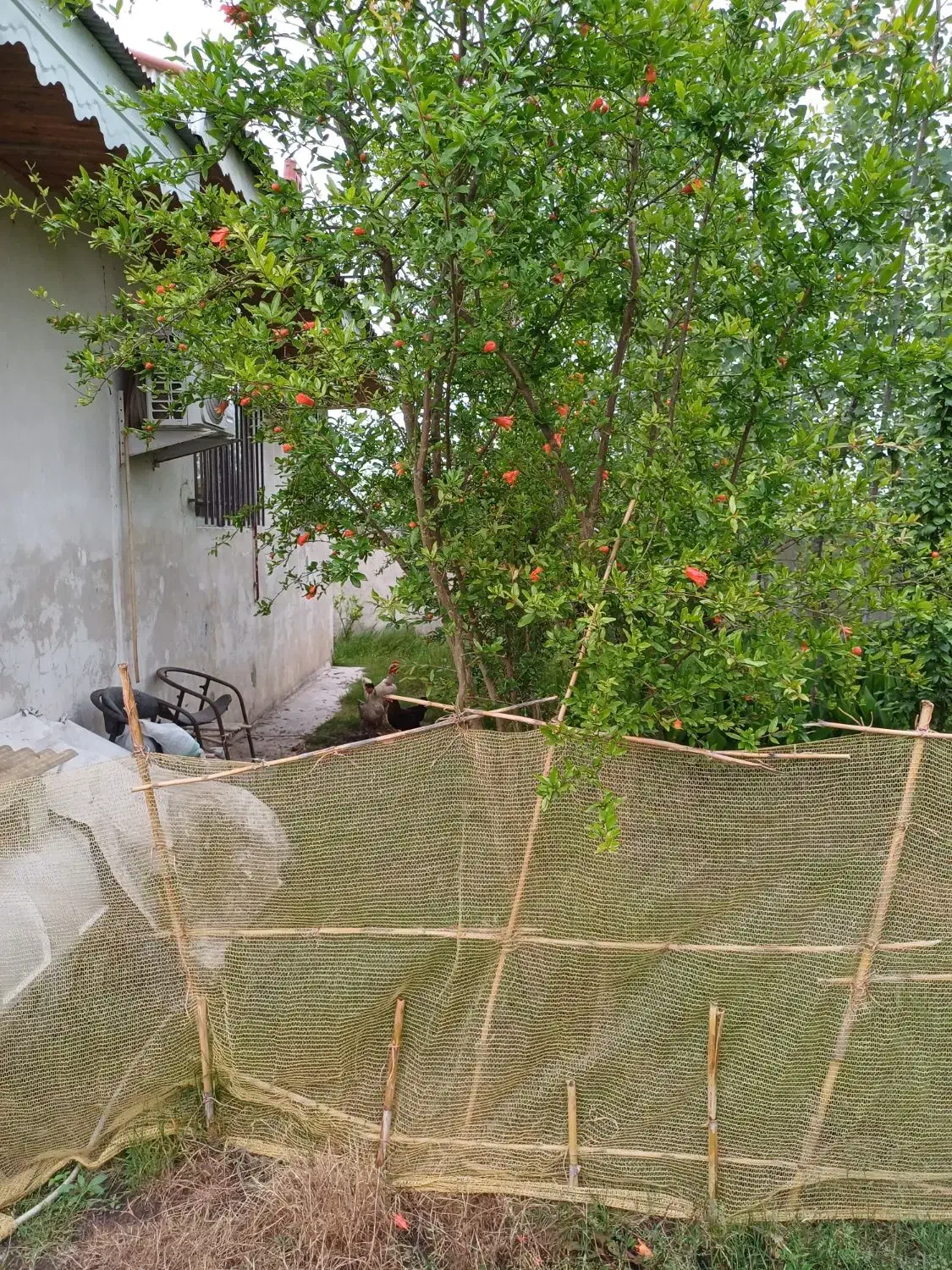 ویلا|فروش خانه و ویلا|رشت, شهرک شهید رجایی|دیوار