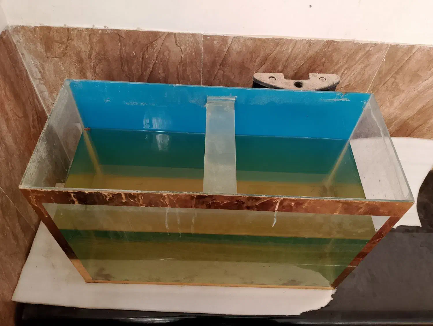 آکواریوم|ماهی|مشهد, همت آباد|دیوار