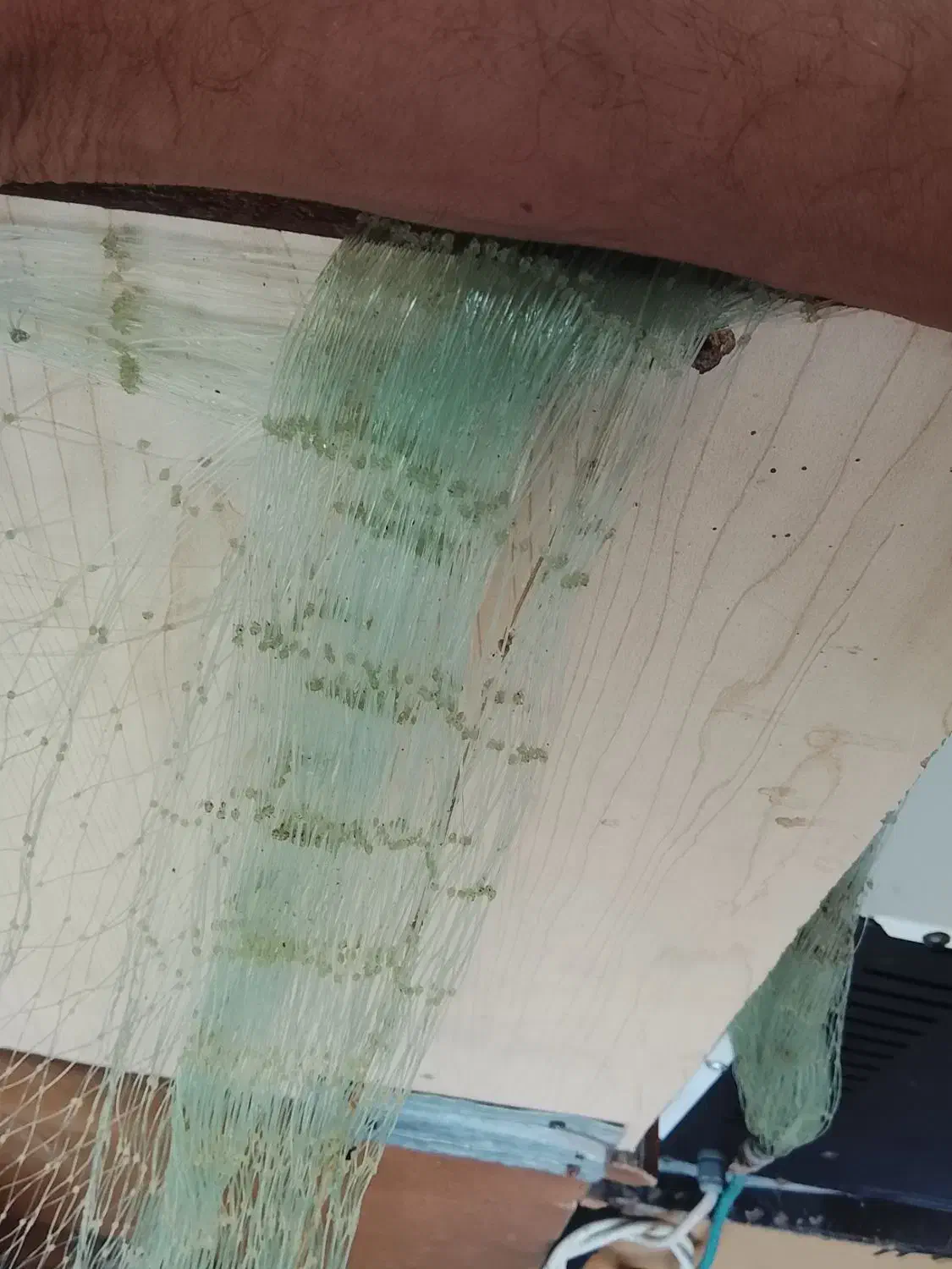 یک عدد سلیه و یک عدد تور راهبند ( شطاوی)|ماهیگیری|اهواز, پردیس|دیوار