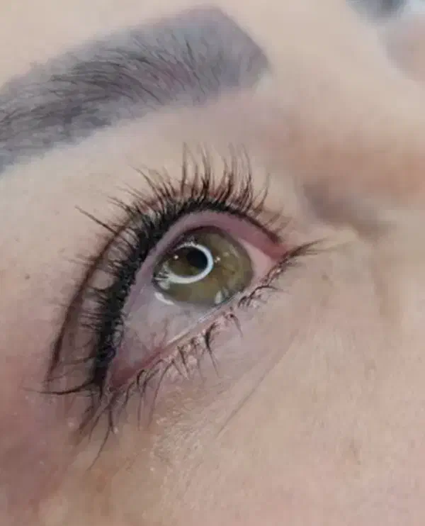 رایگان میکرو. تتوبدن.بن مژه. خطچشم|خدمات آرایشگری و زیبایی|تربت‌حیدریه, قائم|دیوار