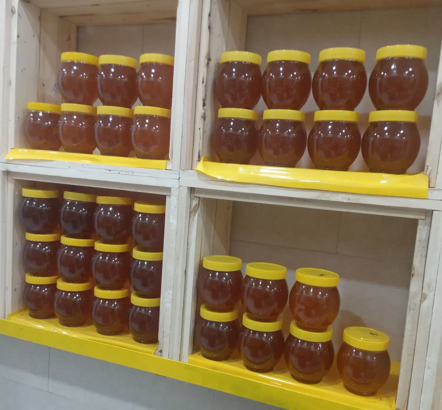 پخش عسل|فعالیت داوطلبانه تحقیقاتی|همدان, |دیوار