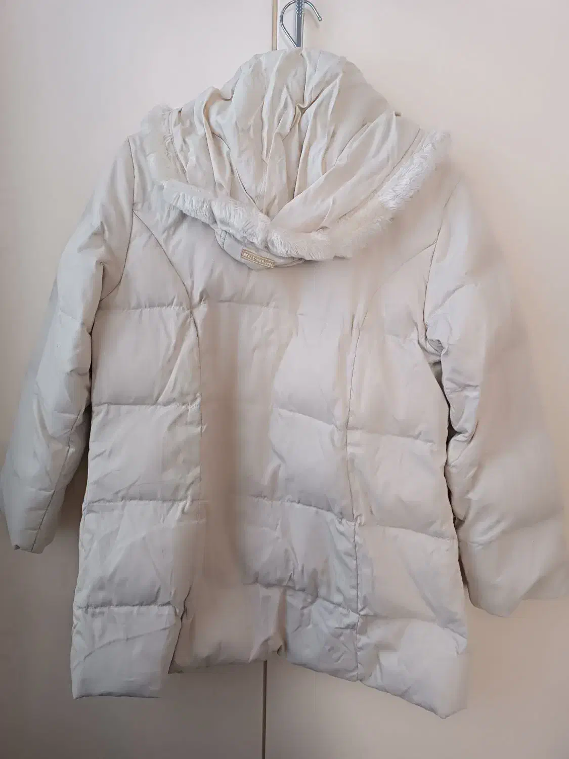 کاپشن|لباس|کردکوی, |دیوار