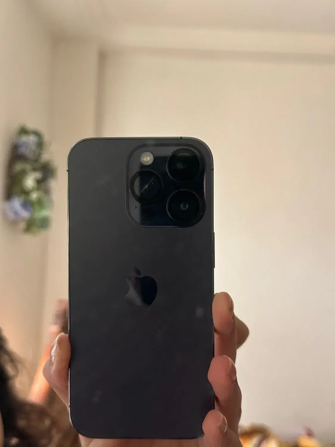 آیفون ۱۴ پرو / ۲۵۶ گیگ / در حد نو|موبایل|بندرعباس, |دیوار