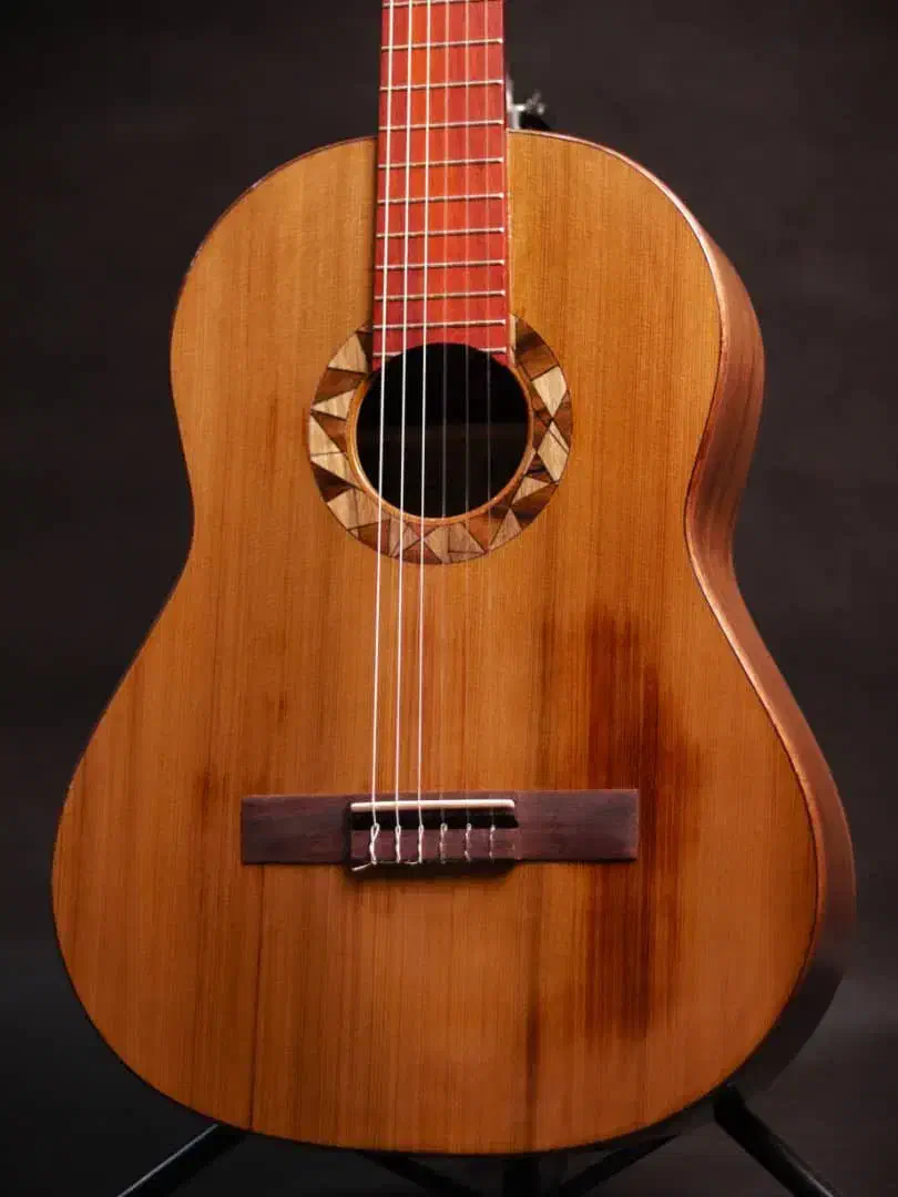 گیتار Doris|گیتار، بیس، امپلیفایر|اصفهان, باغ زرشک|دیوار