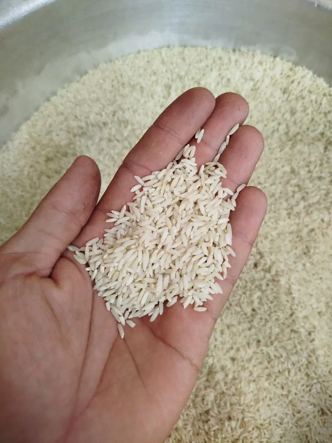 برنج کاظمی|خوردنی و آشامیدنی|تهران, امانیه|دیوار