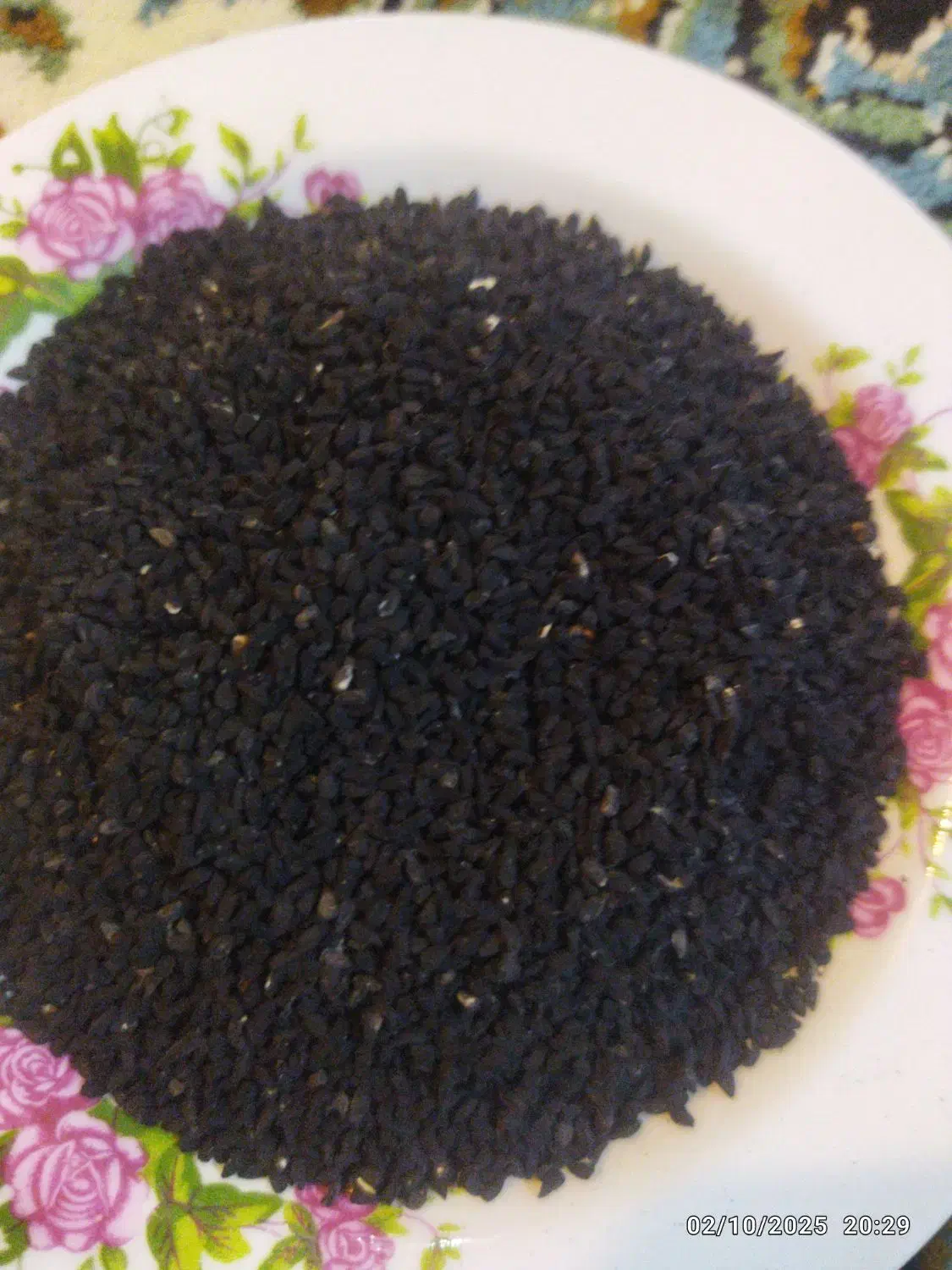 سیاه دانه|عمده‌فروشی|بروجن, |دیوار