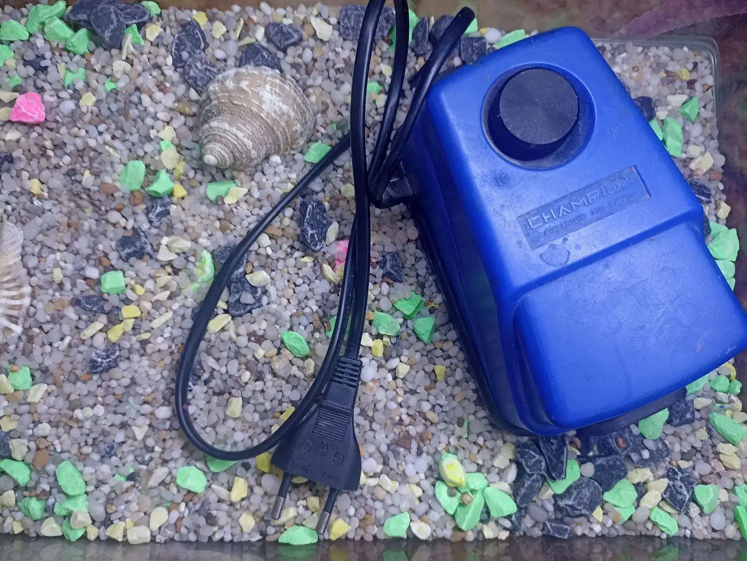 آکواریوم|ماهی|قرچک, باقرآباد|دیوار