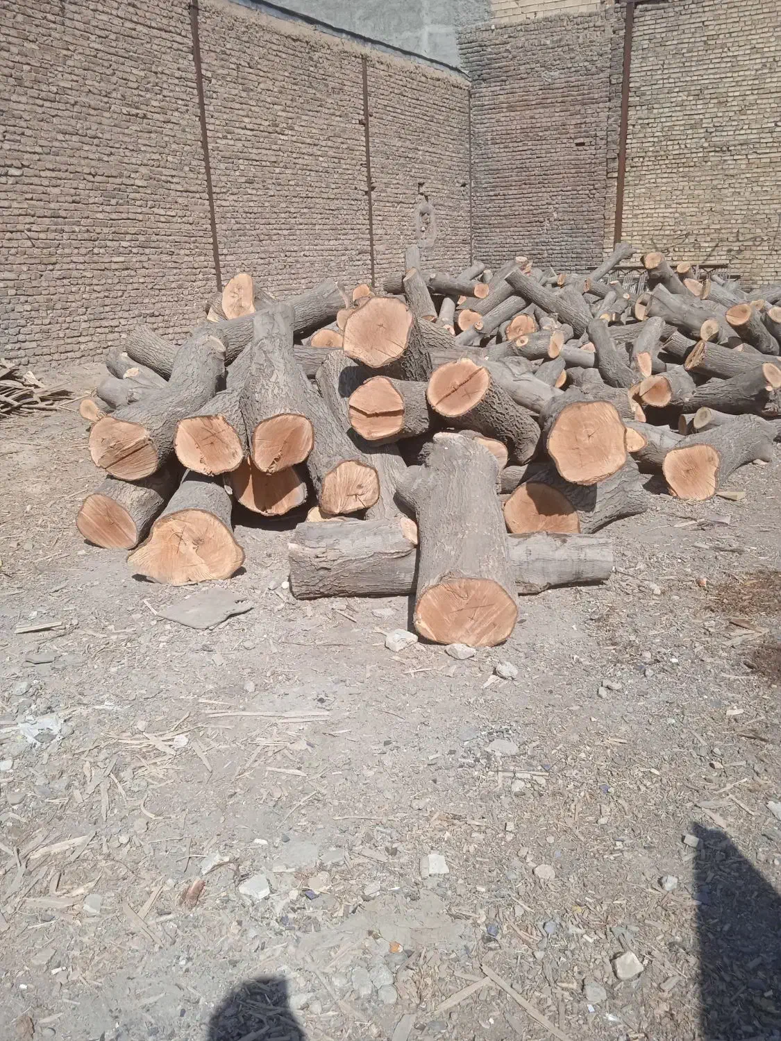 خریدارچوب|خدمات باغبانی و درختکاری|ملایر, |دیوار