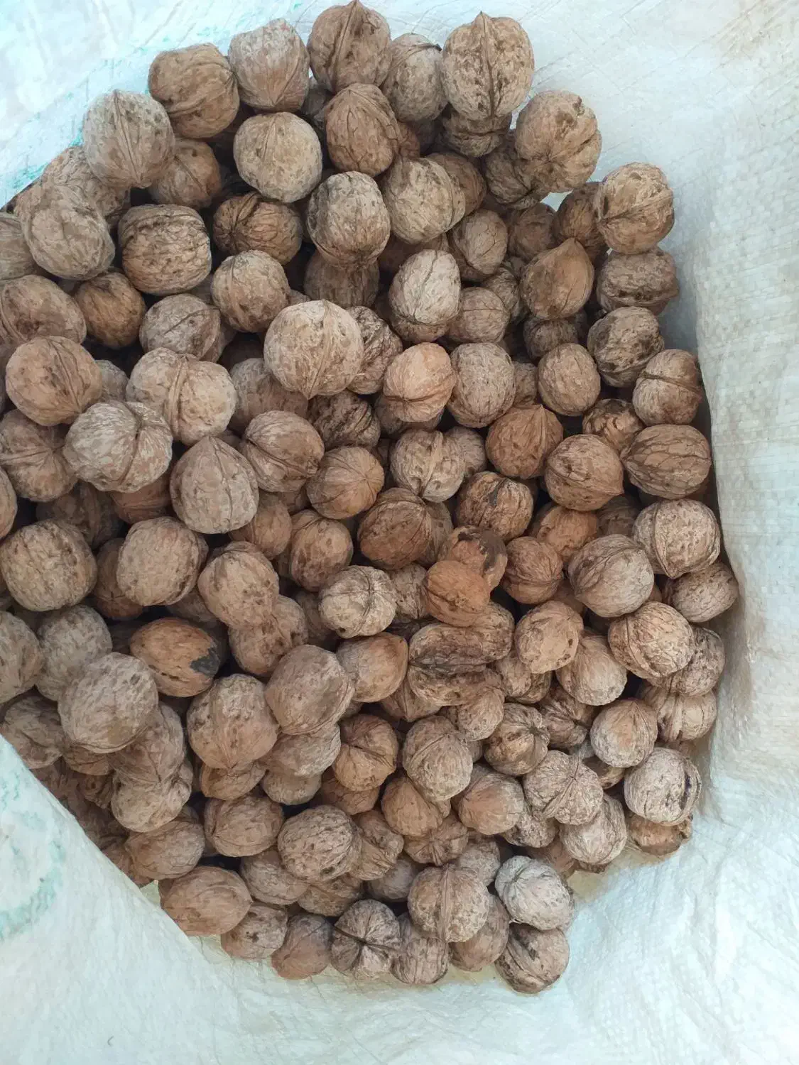 خشکبار ..گردو|خوردنی و آشامیدنی|خنداب, |دیوار