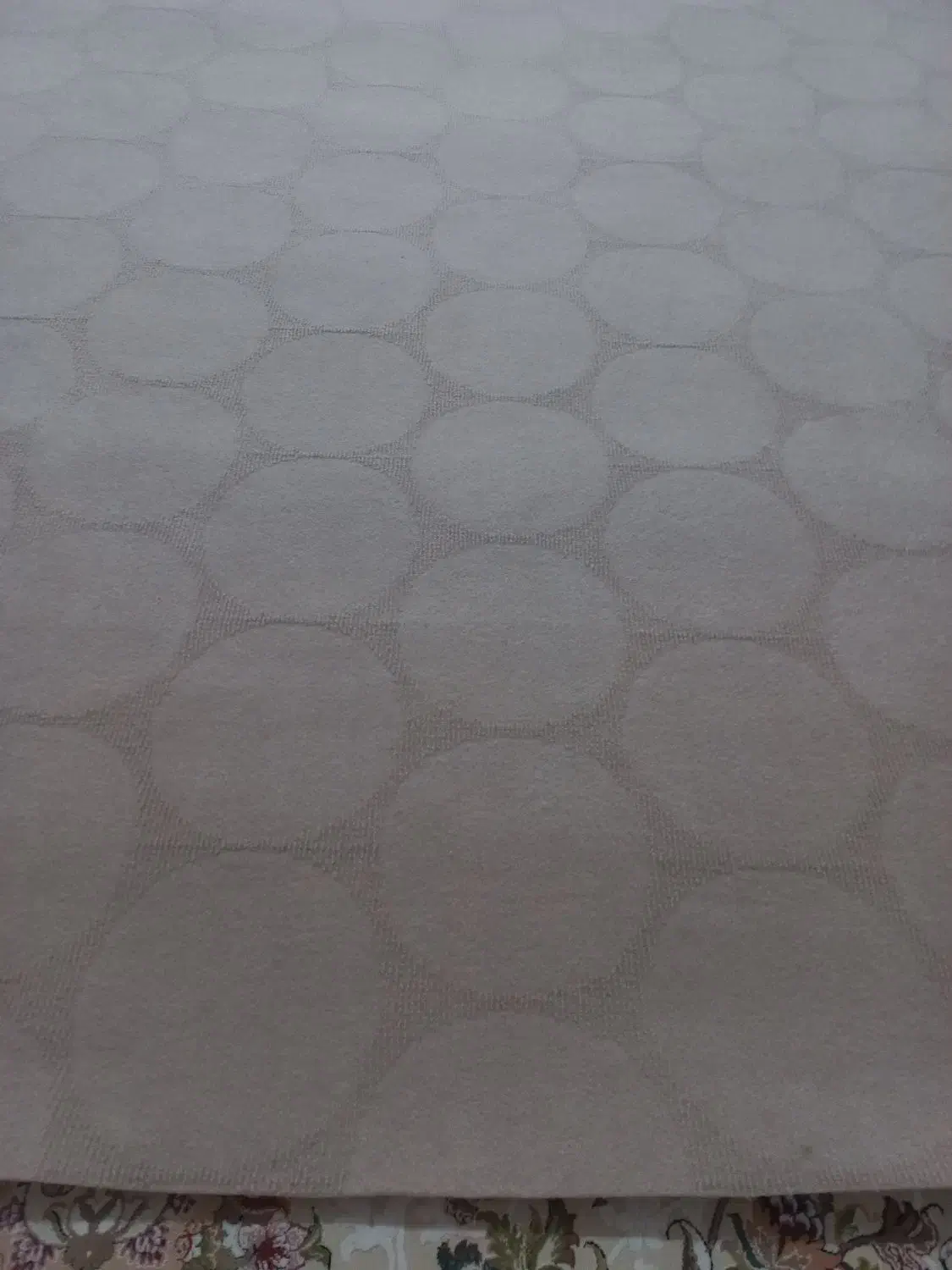 موکت|موکت|کرمانشاه, |دیوار