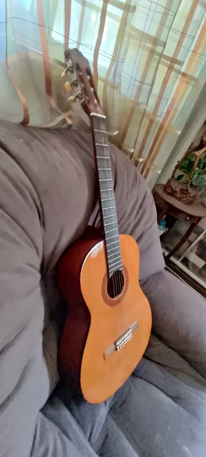 گیتار c40 اصل|گیتار، بیس، امپلیفایر|تهران, قاسم‌آباد|دیوار