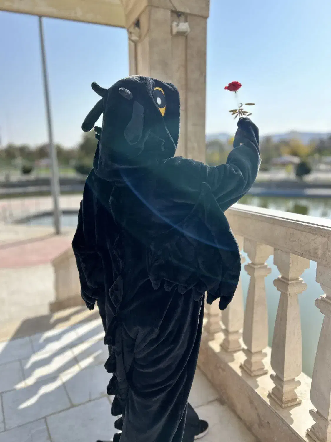 لباس بی دندون|لباس|شیروان (خراسان), |دیوار