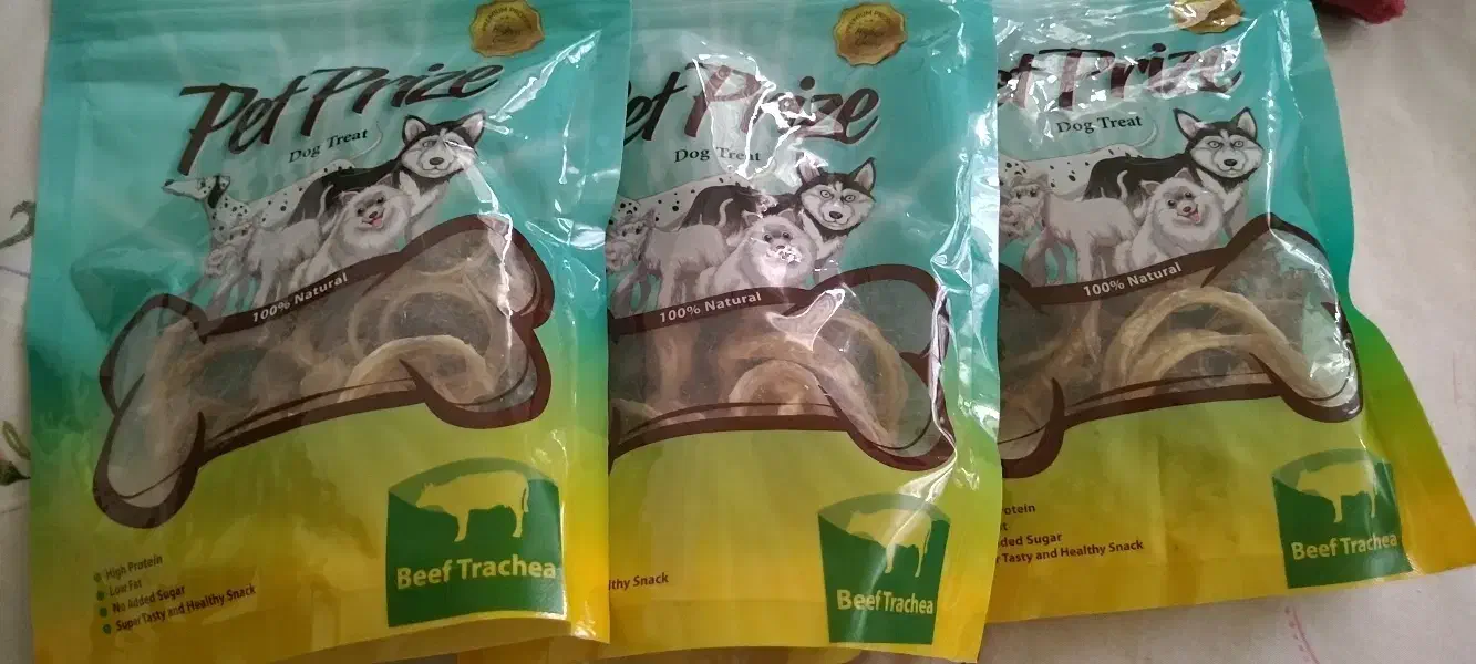 غذا|سگ|مشهد, دانشجو|دیوار